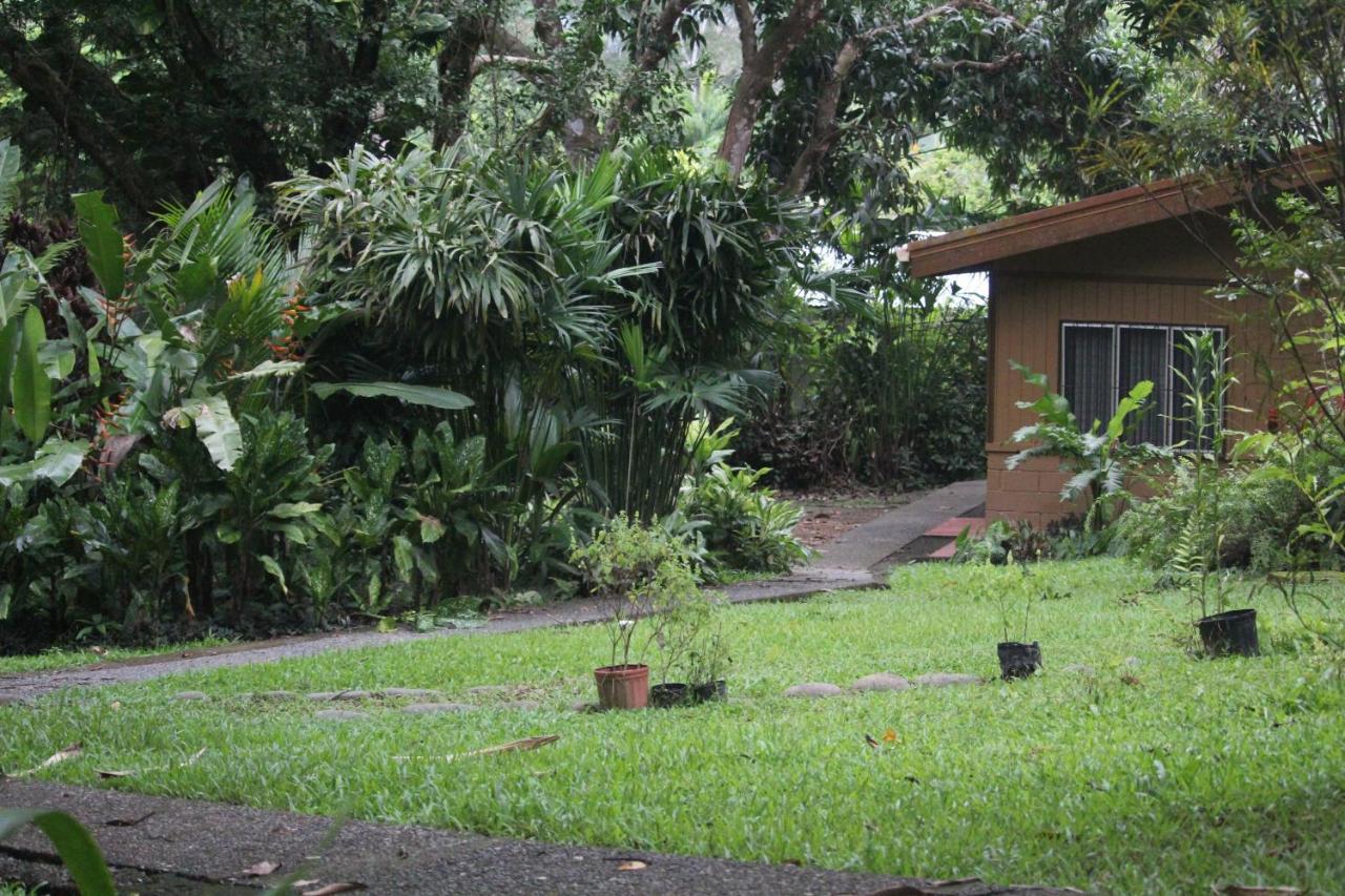 Iguana Libre Hotel Dominical Exterior foto