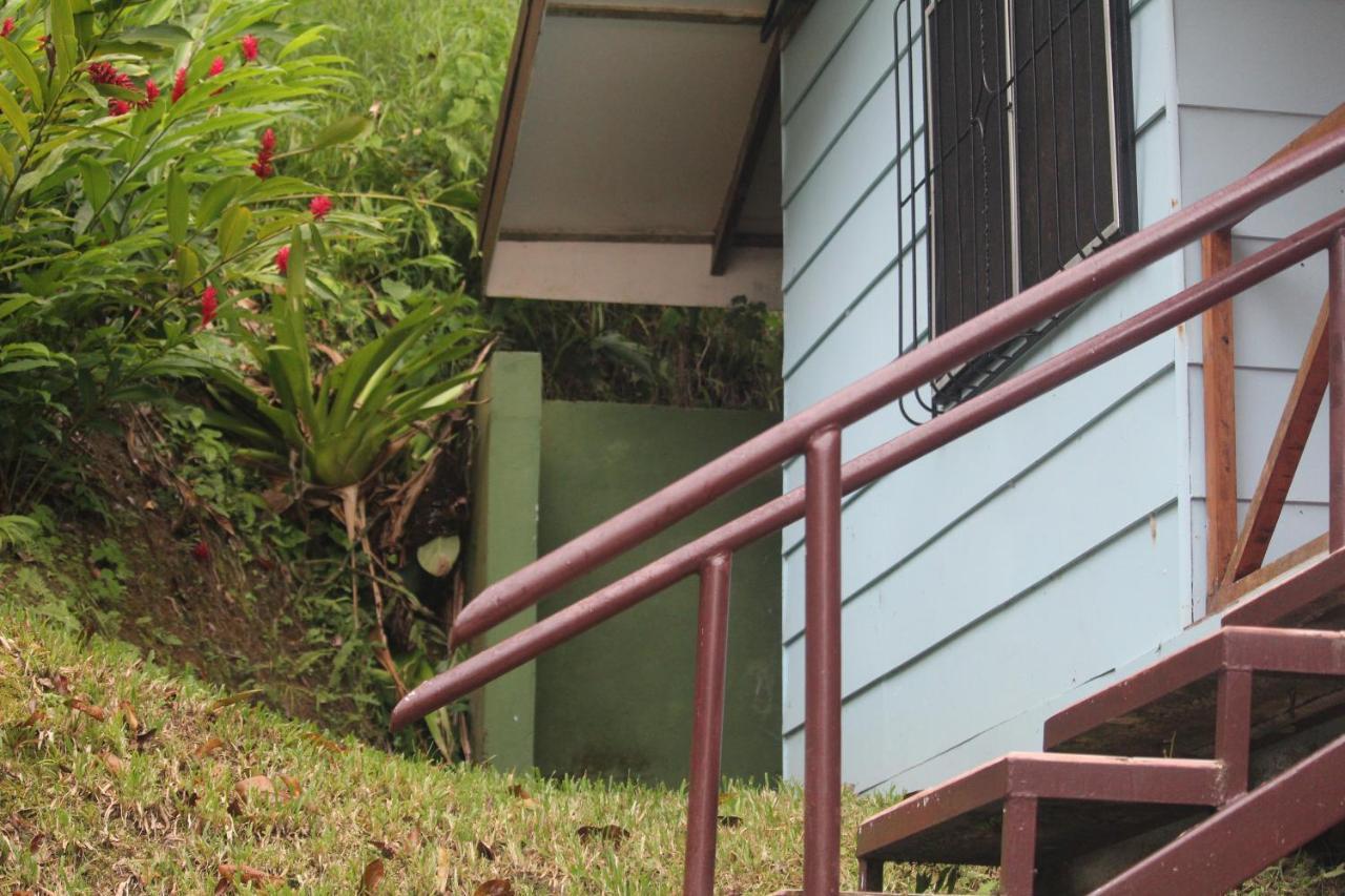 Iguana Libre Hotel Dominical Exterior foto