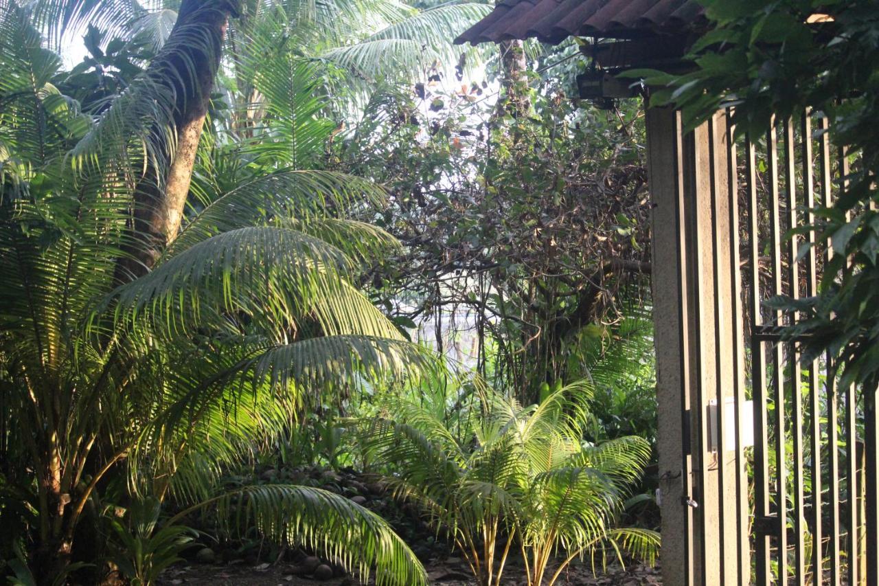 Iguana Libre Hotel Dominical Exterior foto