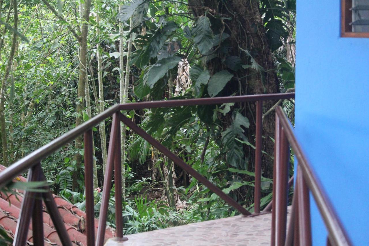 Iguana Libre Hotel Dominical Exterior foto