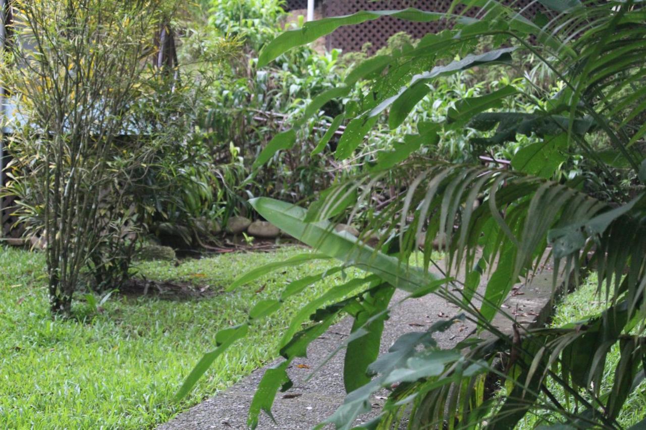 Iguana Libre Hotel Dominical Exterior foto